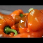 Kwekerij Barendse-DC Agriport