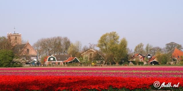 kerk_05.jpg