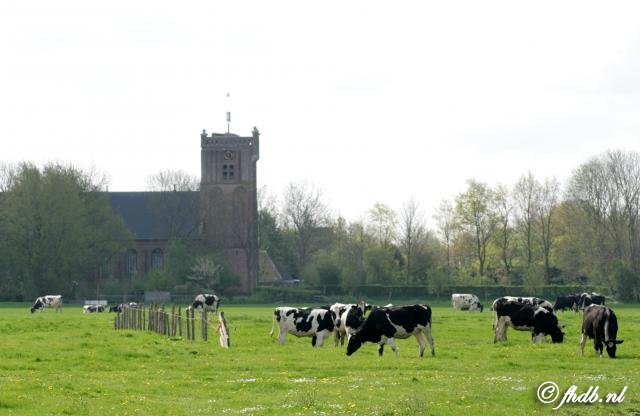 kerk_12.jpg
