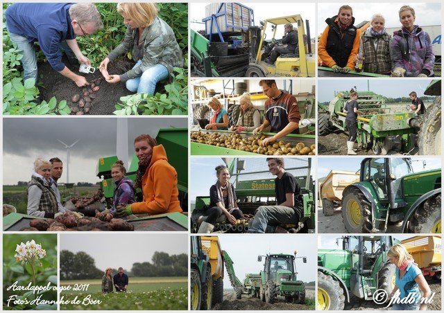 collage voor Ank.jpg