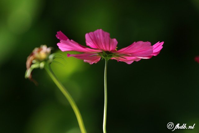 DG8A0602.jpg