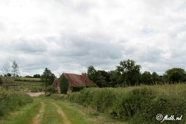IMG_3335.jpg