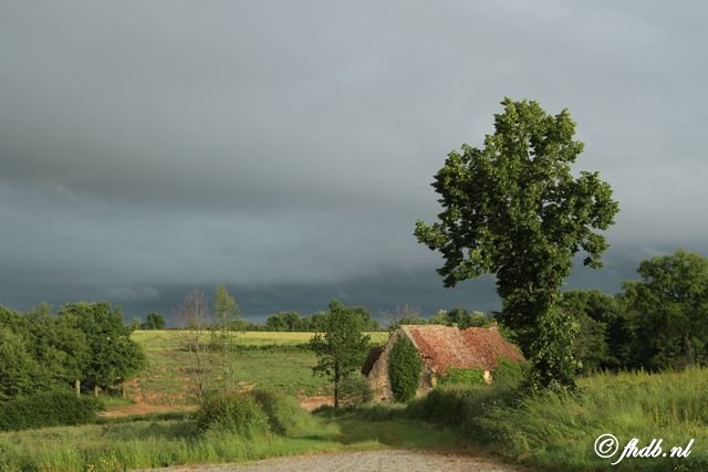 IMG_3769.jpg