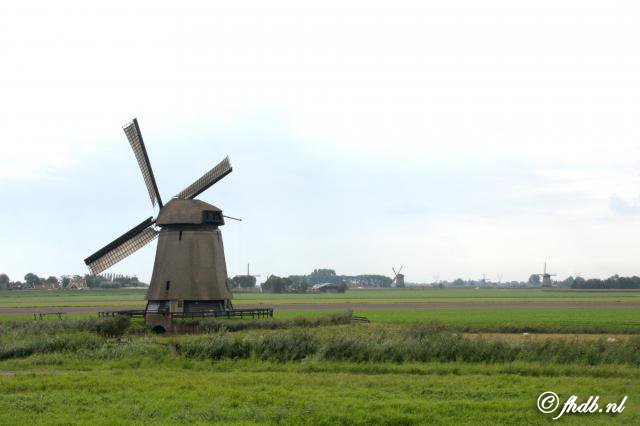 IMG_2150.jpg