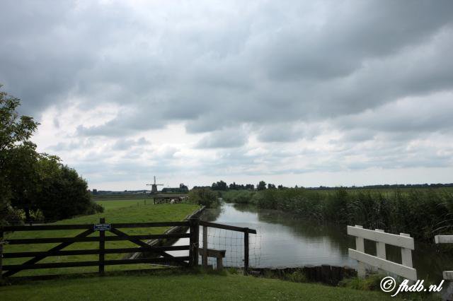 IMG_4454.jpg