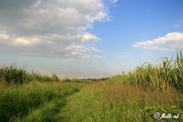 IMG_6722.jpg