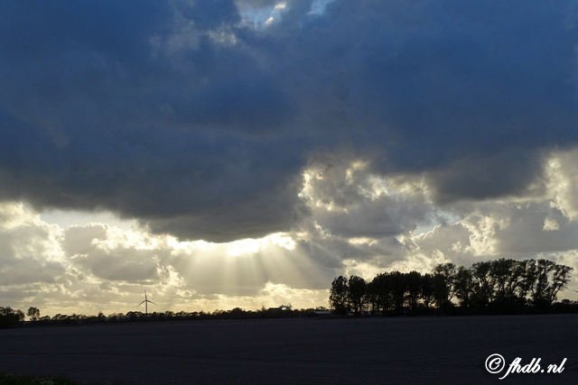 DSC04770.jpg