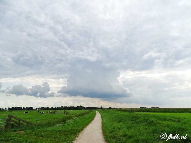 DSC07136.jpg