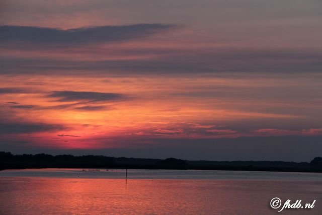 IMG_0957.jpg