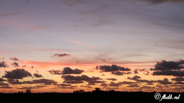 IMG_9938b.jpg