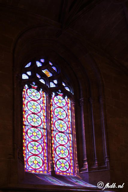 DG8A0296.JPG
