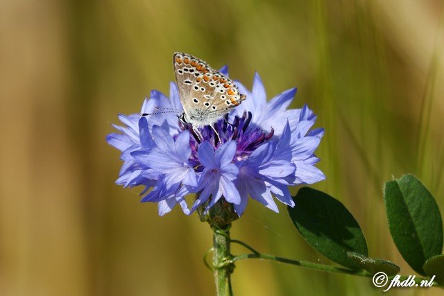 DG8A0640.jpg