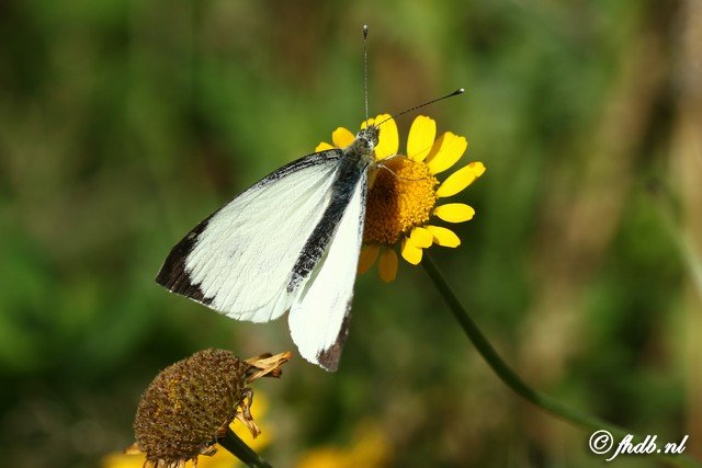 DG8A5710.jpg