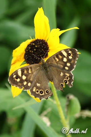 DG8A9023.jpg