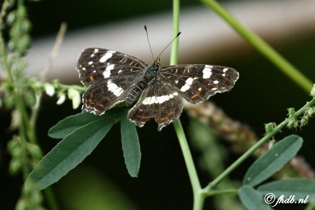 DG8A9745.jpg